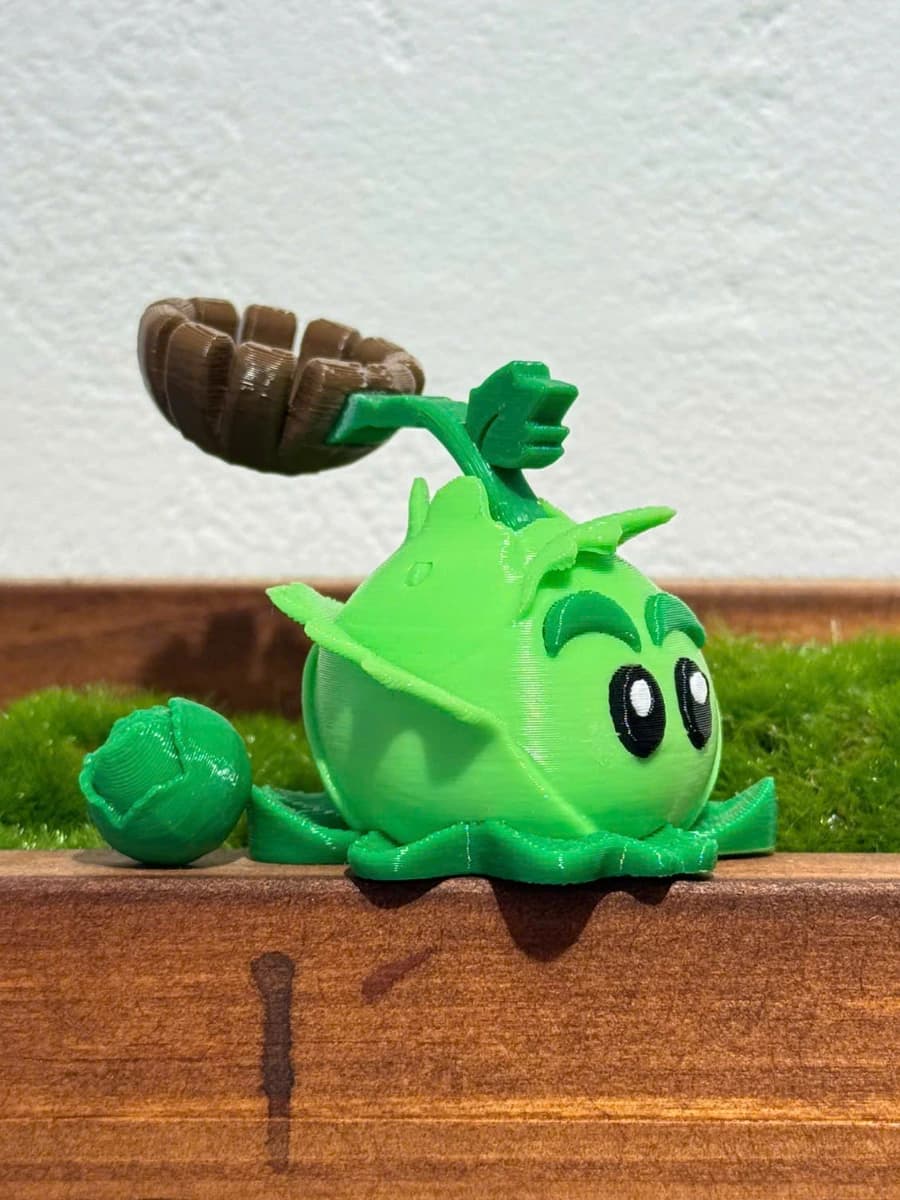 Cabbage Pult